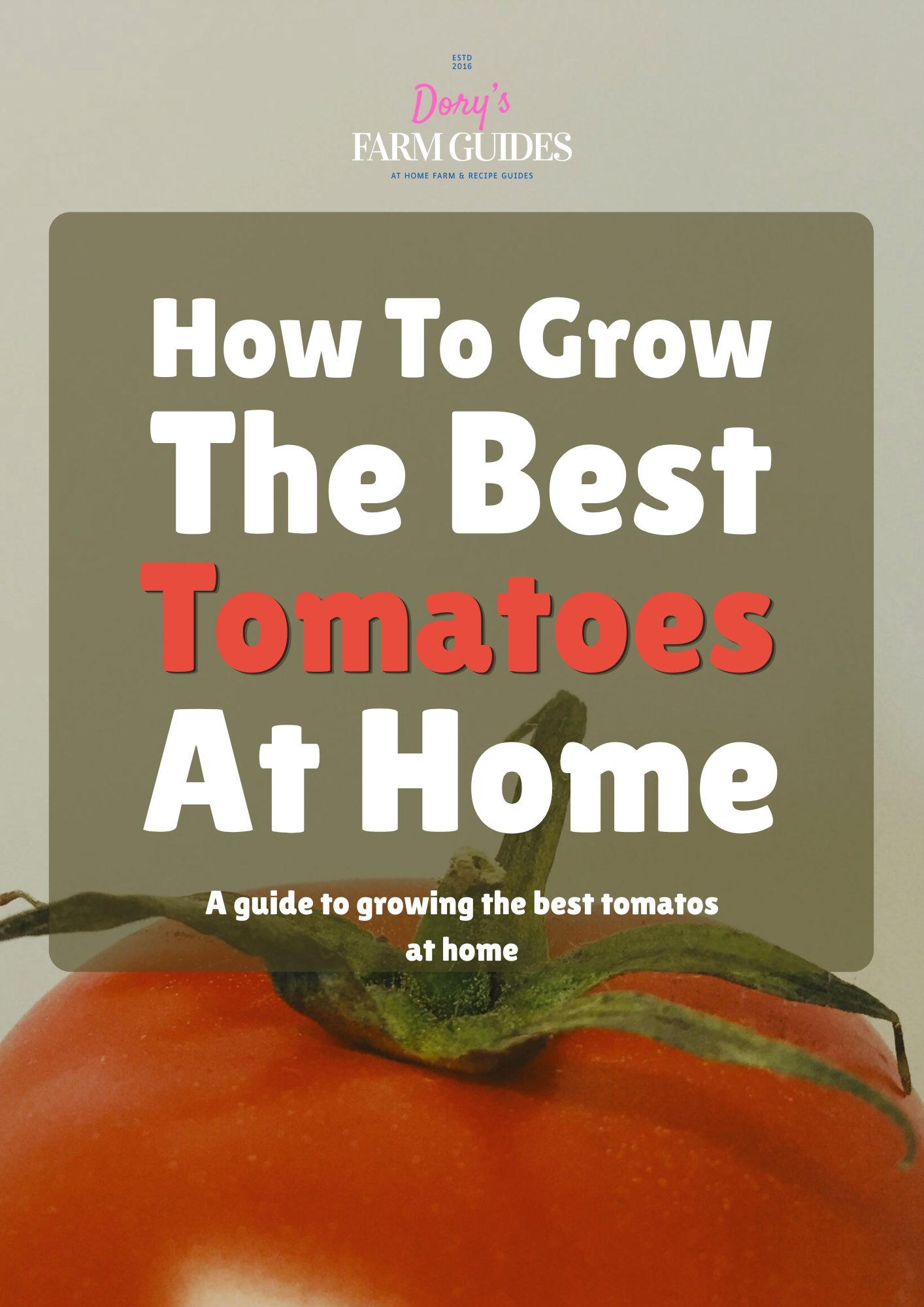 How To Grow THE BEST Tomatoes At Home